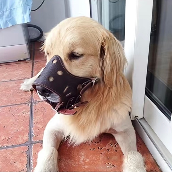 Dog Muzzle - Picture 2 of 4